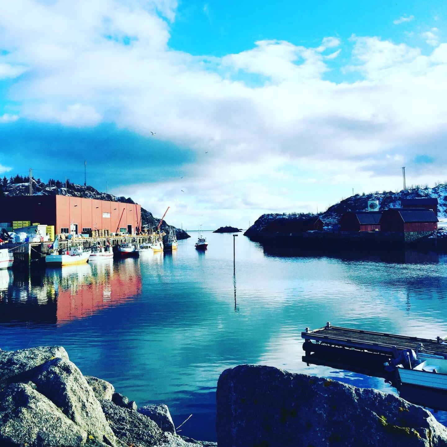Rindebua